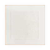 Silhouette of White VI (30x30)
