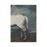 Enormous Beauty II (40x57)
