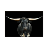 Black and White Longhorn (60x40)