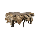 Teak Root Coffee Table