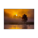 Yellowstone Sunrise (60x40)