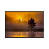 Yellowstone Sunrise (60x40)