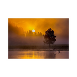 Yellowstone Sunrise (60x40)