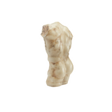 Ancient Greek Torso