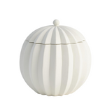 Spicchi Line Bowl with Lid