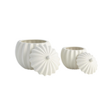 Spicchi Line Bowl with Lid