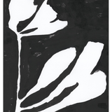 Ink+Petals 15 (47x62)