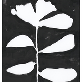 Ink+Petals 13 (47x62)