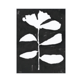 Ink+Petals 13 (47x62)