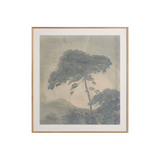 Canopy by Chelsea Fly