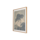 Canopy by Chelsea Fly