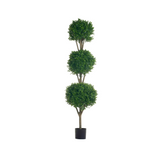 Triple Ball Topiary 5.5'