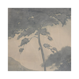 Canopy by Chelsea Fly