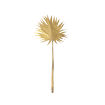 Brass Palm Leaf | Design for the PPL