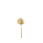 Brass Palm Leaf | Design for the PPL
