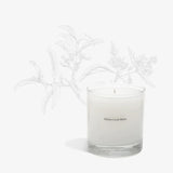 No.04 Bois de Balincourt Candle | Design for the PPL