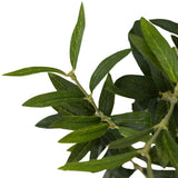 Faux Olive Tree Wide