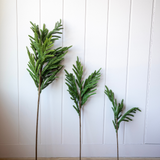 Faux Norfolk Pine Chrismas Stems