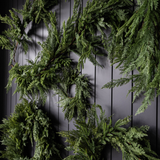 Norfolk & Cypress Wreath - 34"