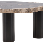 Darnell Coffee Table Large with natural petrified wood top and black base