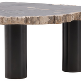 Darnell Coffee Table Large with natural petrified wood top and black base