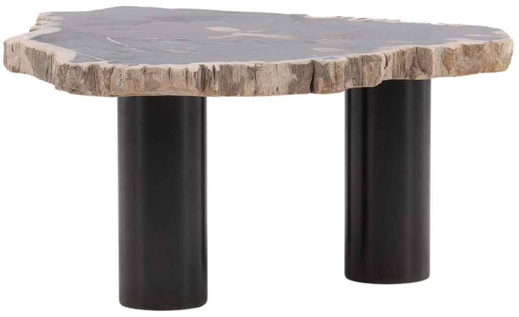 Darnell Coffee Table Large with natural petrified wood top and black base