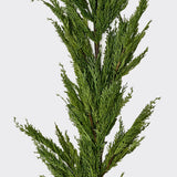6' Cedar Garland