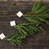 Faux Norfolk Pine Chrismas Stems