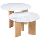Bryn Coffee Table Set of 2 - Dovetail - BB250