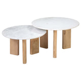 Bryn Coffee Table Set of 2 - Dovetail - BB250