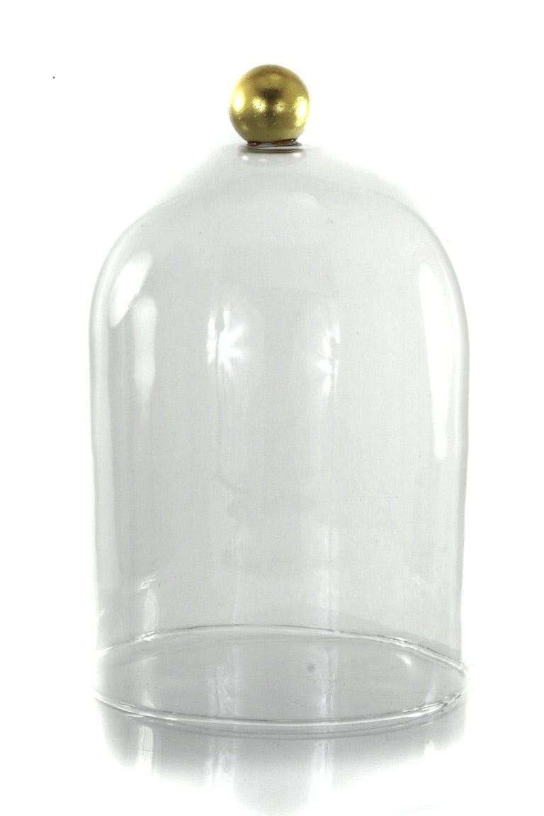 Large Glass Cloche by Cody Foster
