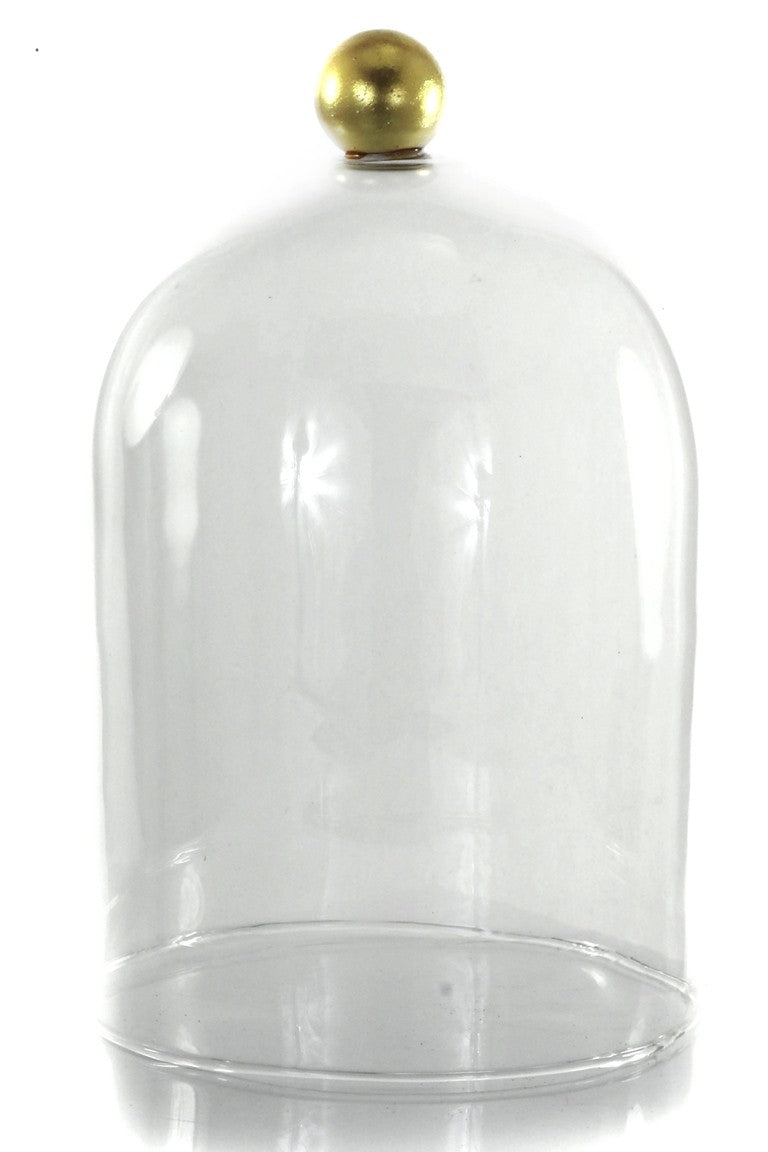 Extra Large Glass Cloche by Cody Foster
