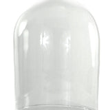 Extra Large Glass Cloche by Cody Foster