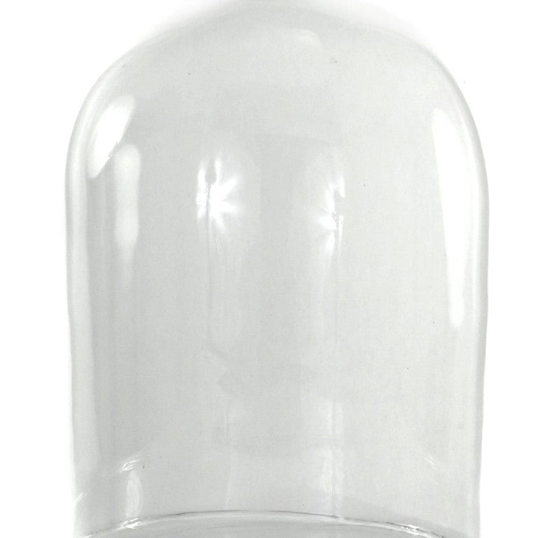 Extra Large Glass Cloche by Cody Foster