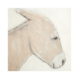 Burro Dia by Paul Meyer 40"x40"