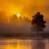 Yellowstone Sunrise (60x40)