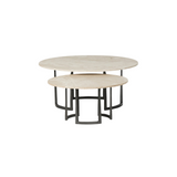 Axtell Nesting Coffee Table