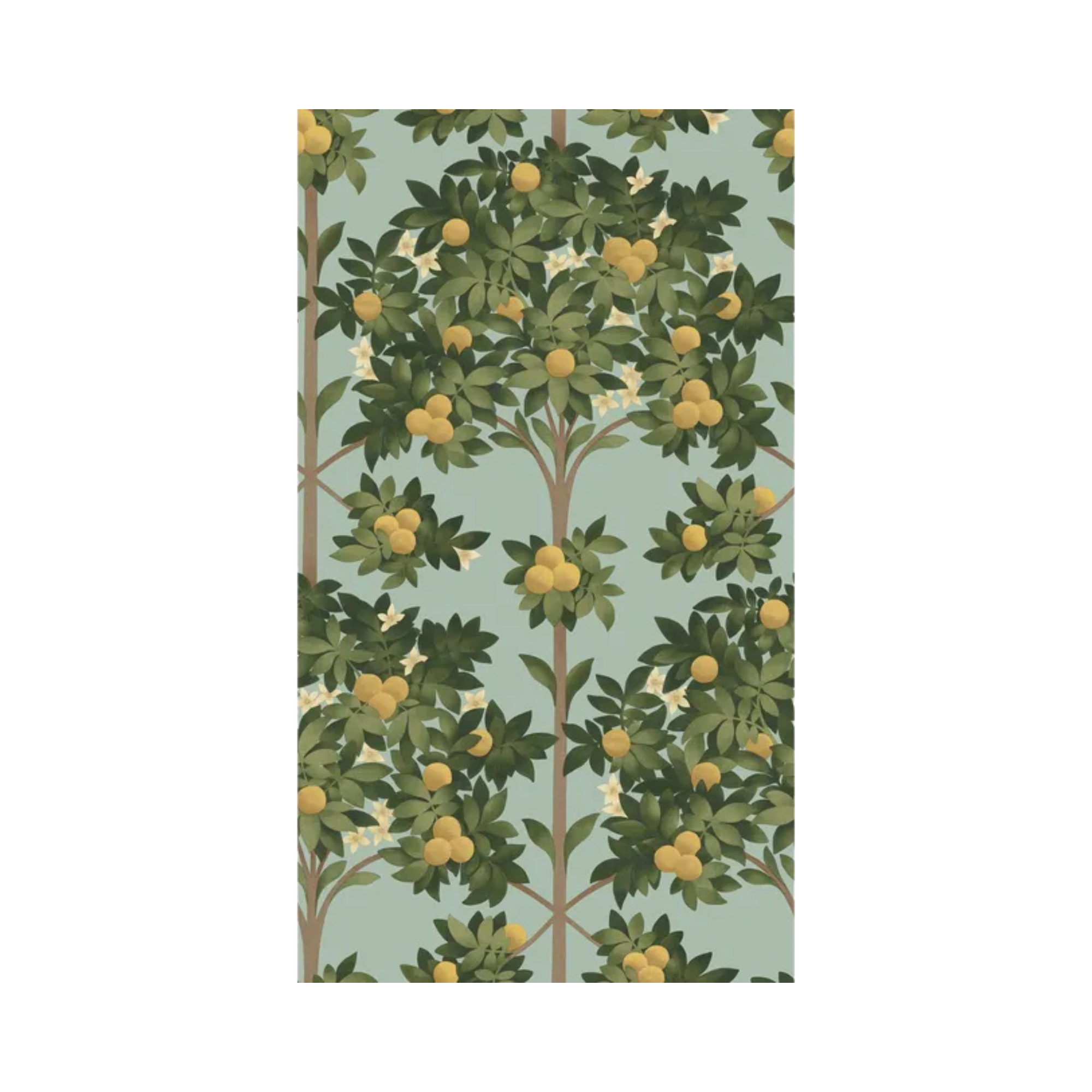 Orange Blossom Wallpaper
