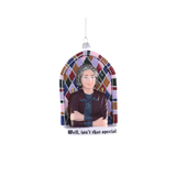 Well, Isn't That Special Ornament