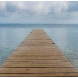 Walkway to Water (60x40)