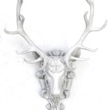 Alpine Stag by Cody Foster