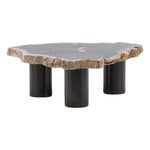 Darnell Coffee Table Small with natural petrified wood top and black base