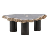 Darnell Coffee Table Small with natural petrified wood top and black base