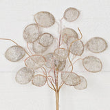 Faux Lunaria Silver Dollars 14in Pick