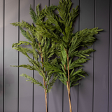 Faux Norfolk Pine Chrismas Stems