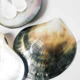 Black Mother of Pearl Caviar Plate