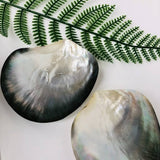 Black Mother of Pearl Caviar Plate