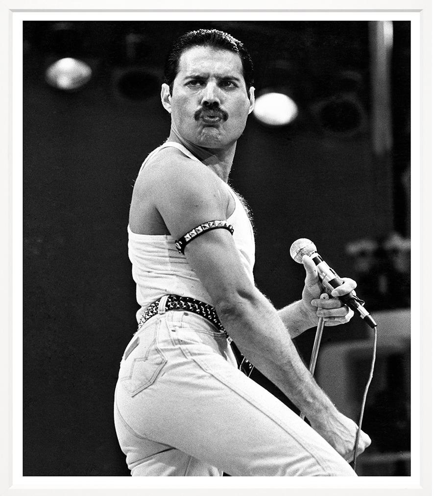 Freddie Mercury I (26x30) | Design for the PPL