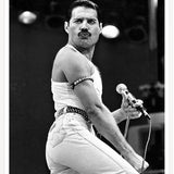 Freddie Mercury I (26x30) | Design for the PPL