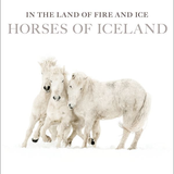 Cover of In the Land of Fire and Ice: Horses of Iceland by Guadalupe Laiz